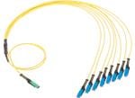Molex MMC Cable Assemblies