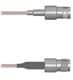 Amphenol Custom Cable Q-0304G0005012i