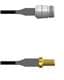 Amphenol Custom Cable Q-1W02Z0008048i
