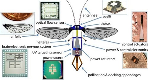 Will the Future Of Robotics Merge to Singularity? figure 4