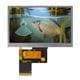 Newhaven Display NHD-4.3-480272EF-ASXP