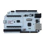 Onion OM-D-ARD Enlarged Image