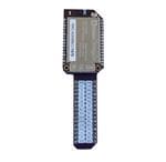 Onion OM-D-BB Enlarged Image