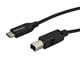 StarTech USB2CB2M